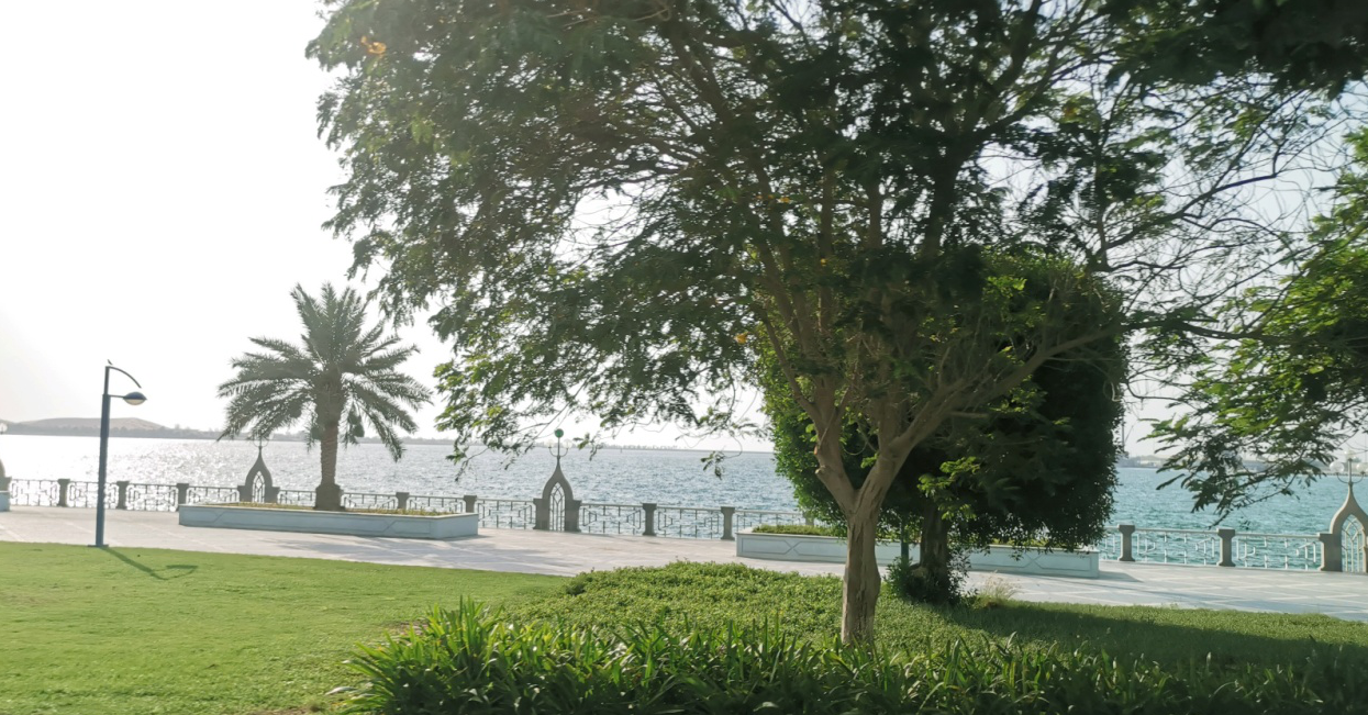 1564040188(1).png